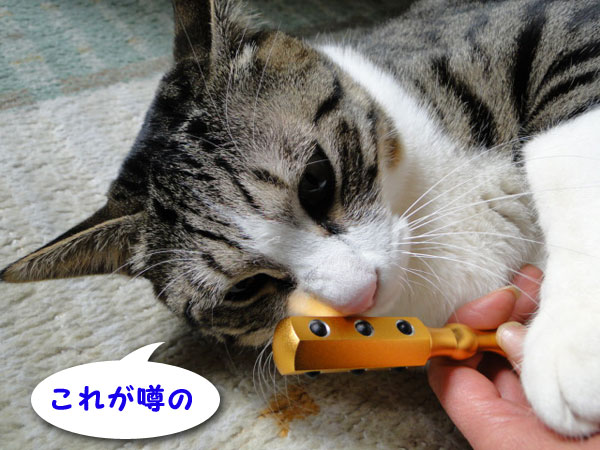 これが噂の・・・