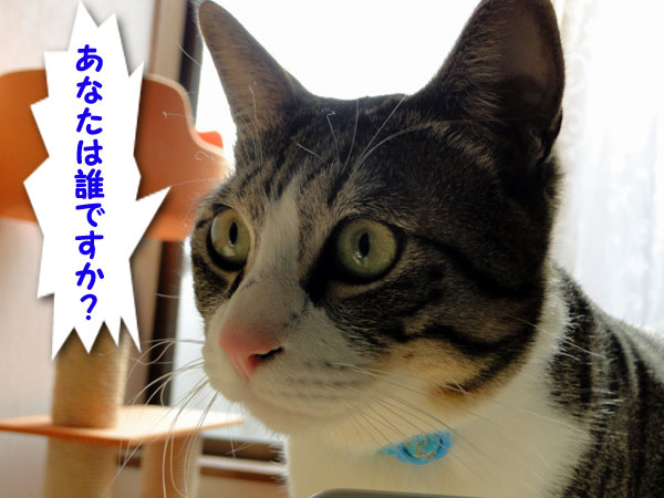 あなたは誰ですか？