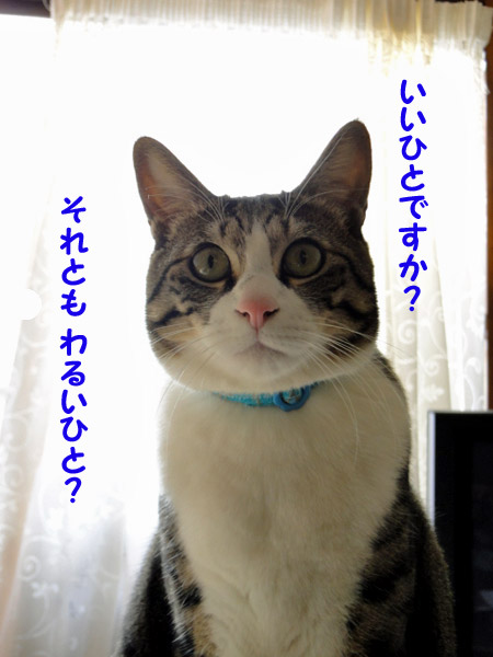 いいひと？それとも悪い人？