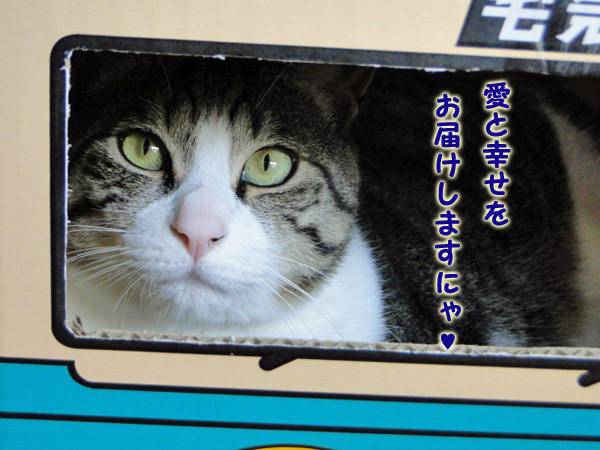 愛と幸せをお届けするにゃ