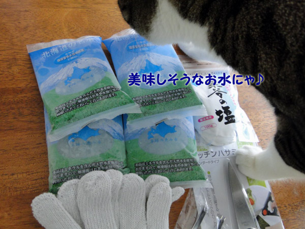 美味しそうなお水にゃ