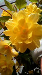 857c8f24.jpg