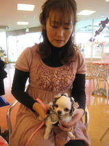 バンビちゃんたちｓ