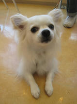 キルアちゃんｓ