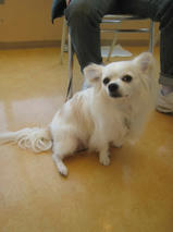 キルアちゃんｓ