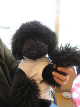 マックス＆アレックスちゃんｓ