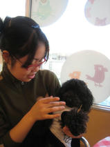 マックス＆アレックスちゃんｓ