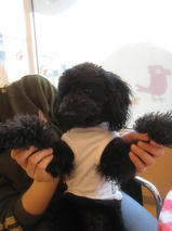 マックス＆アレックスちゃんｓ