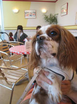 マックス＆アレックスちゃんｓ