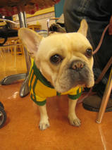 モグちゃん＆クリコちゃん　T