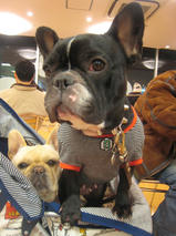 モグちゃん＆クリコちゃん　T