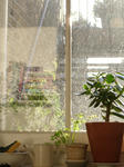sunnyday.jpg