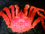TS3D0259.JPG