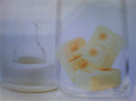 TS3D0412.JPG