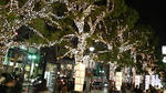 833a52b9.jpg
