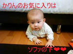 GRP_0175.JPG