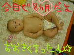 DSC02309.JPG