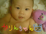DSC02435.JPG