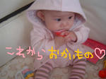 DSC02485.JPG