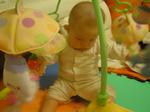 DSC02589.JPG