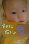 DSC02688.JPG