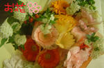 DSC02710.JPG