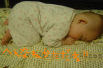 DSC02771.JPG