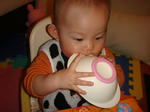 DSC02778.JPG