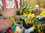 DSC02865.JPG