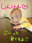 DSC02892.JPG