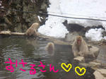 DSC03056.JPG