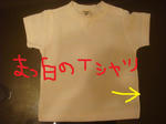 DSC03103.JPG