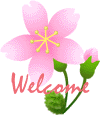 桜（Welcome）