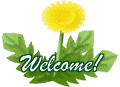 たんぽぽ（Welcome）