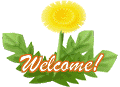 たんぽぽ（Welcome）