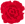 赤いバラ（小）