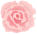 薄ピンクのバラ（大）