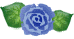 青いバラと葉