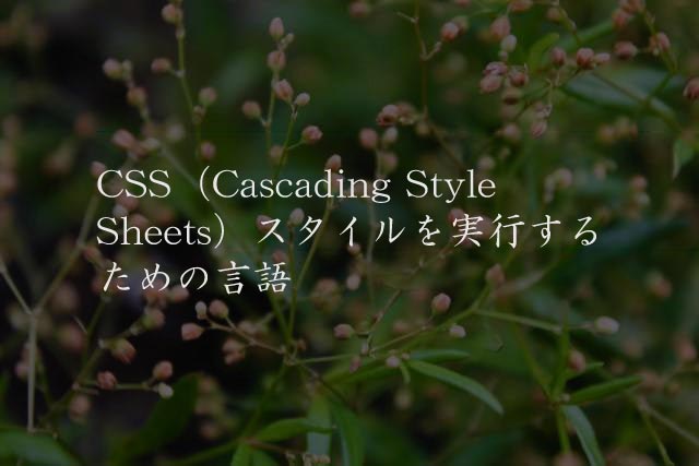 CSS（Cascading Style Sheets）スタイルを実行するための言語