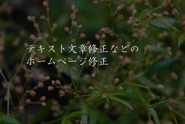 テキスト文章修正などのホームページ修正