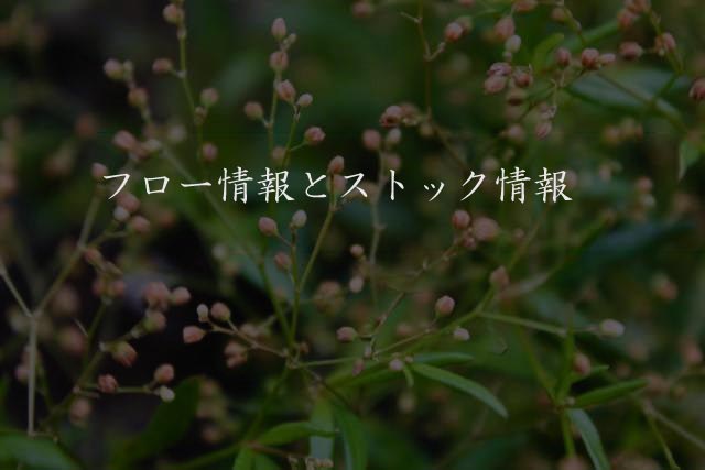 フロー情報とストック情報