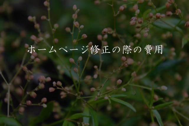 ホームページ修正の際の費用