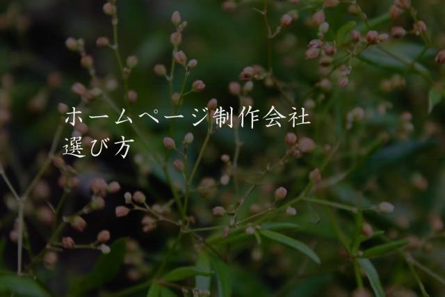 ホームページ制作会社　選び方
