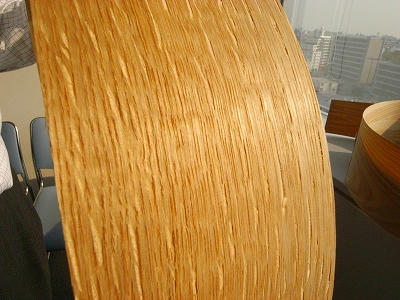 厚い！透けません