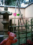 0360cc24.jpg
