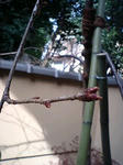 6e545866.jpg