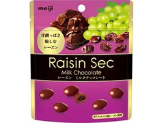 明治 レザンセックパウチ