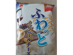 岩塚製菓 ふわっと カマンベールチーズ