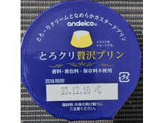 アンデイコ とろクリ贅沢プリン
