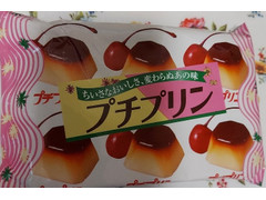 みやけ食品 プチプリン